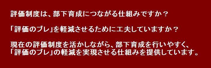 評価制度の見直し（20130604）.jpg
